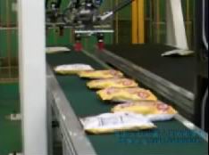 机器人应用于食品分拣